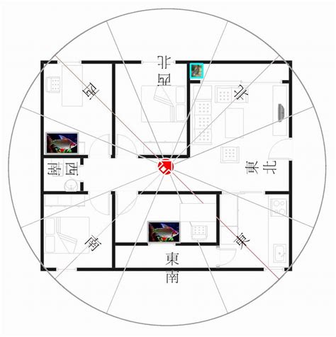 坐西朝東財位|【座西朝東】你的房子是坐西朝東嗎？快來瞭解它的風。